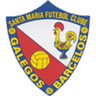 Santa Maria FC