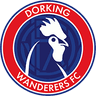 Dorking Wanderers FC