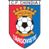 AFC Chindia Târgovişte