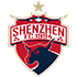 Shenzhen FC